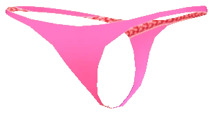 prop_cs_panties_03