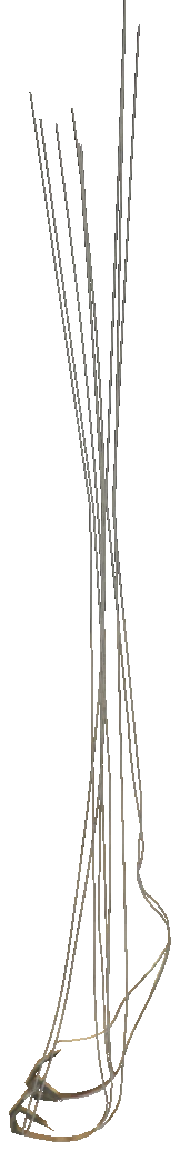 prop_cs_para_ropes