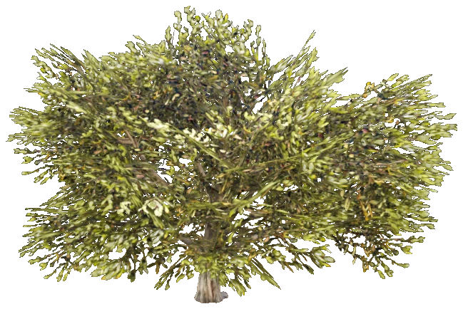prop_desert_iron_01