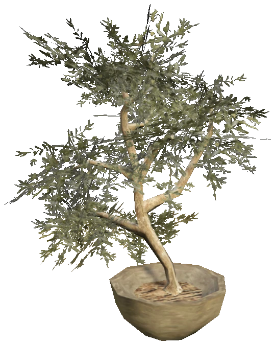 prop_fib_plant_01