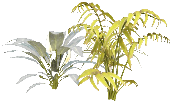 prop_fib_plant_02