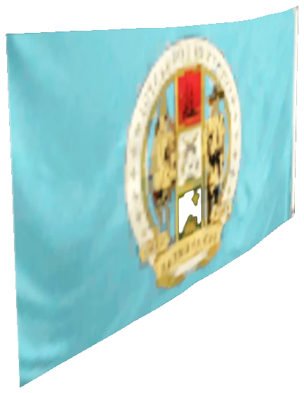 prop_flag_lsservices