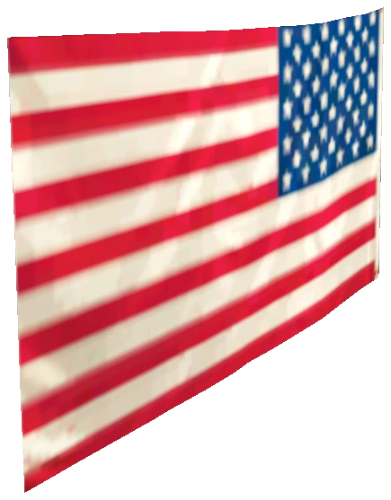 prop_flag_us