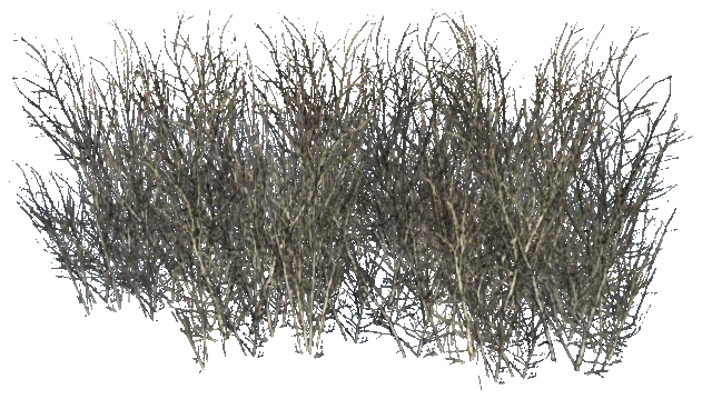 prop_grass_dry_03