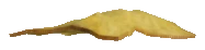 prop_huf_rag_01