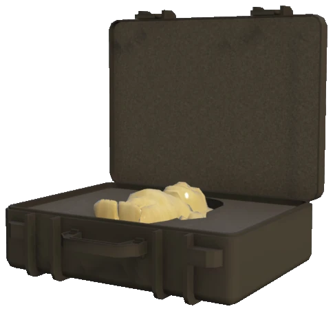 prop_idol_case