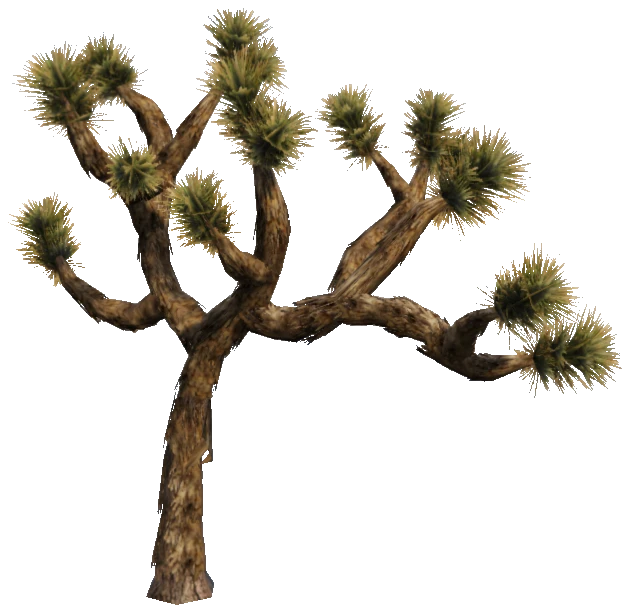 prop_joshua_tree_01a