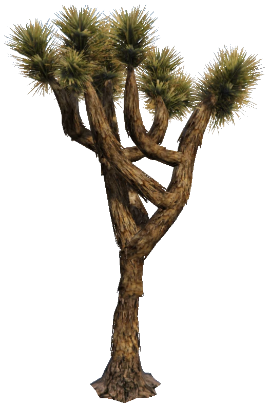 prop_joshua_tree_01b