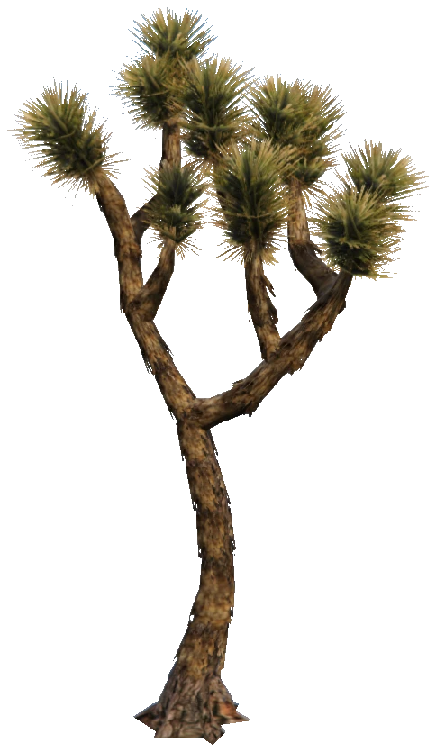 prop_joshua_tree_01c