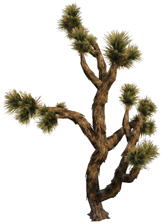 prop_joshua_tree_01d