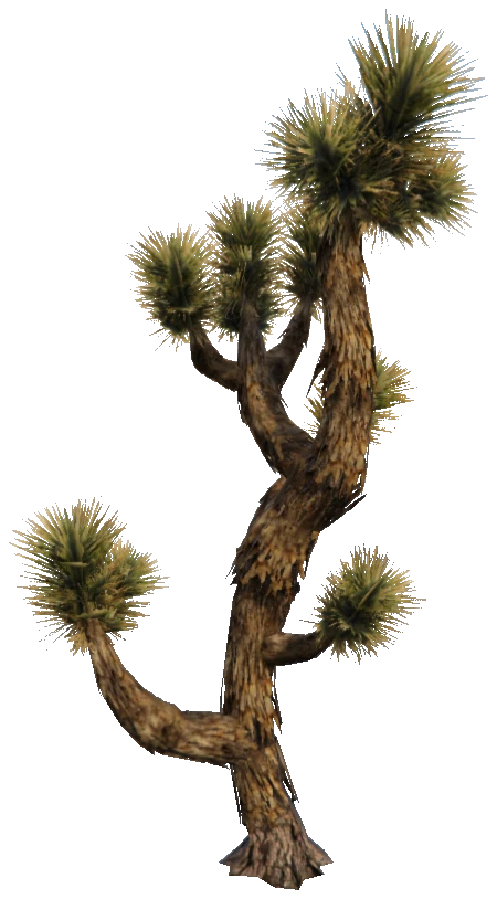 prop_joshua_tree_01e