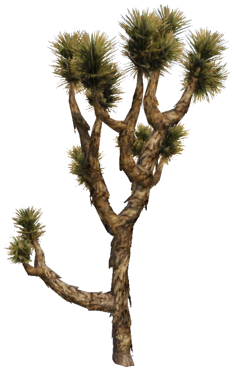 prop_joshua_tree_02a