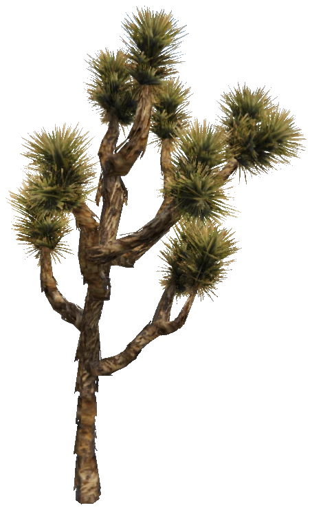prop_joshua_tree_02c