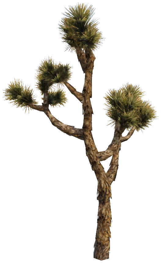 prop_joshua_tree_02d
