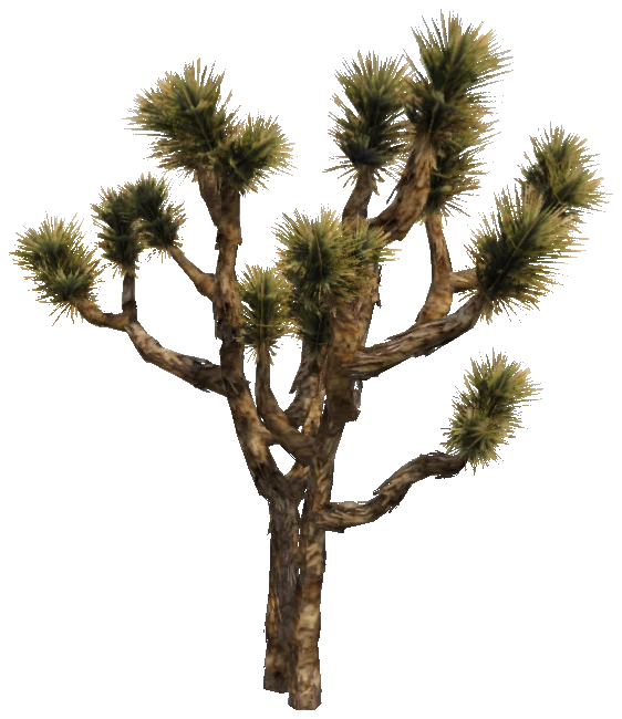 prop_joshua_tree_02e