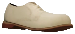 prop_ld_shoe_01