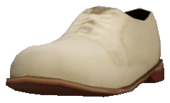 prop_ld_shoe_02