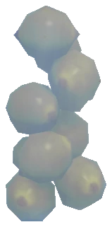 prop_lime_jar