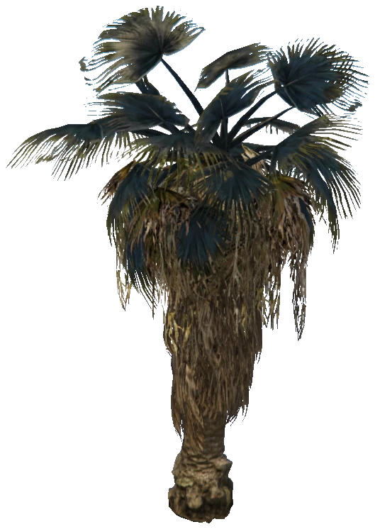 prop_palm_fan_02_a