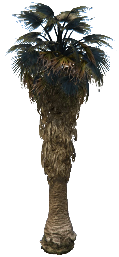prop_palm_fan_02_b