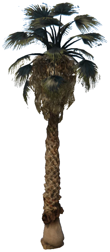 prop_palm_fan_03_a