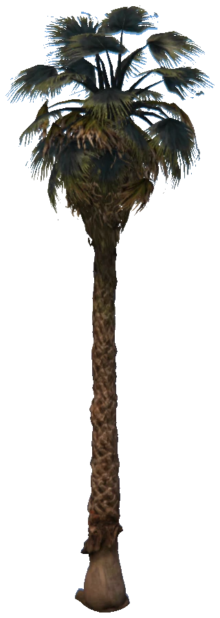 prop_palm_fan_03_b