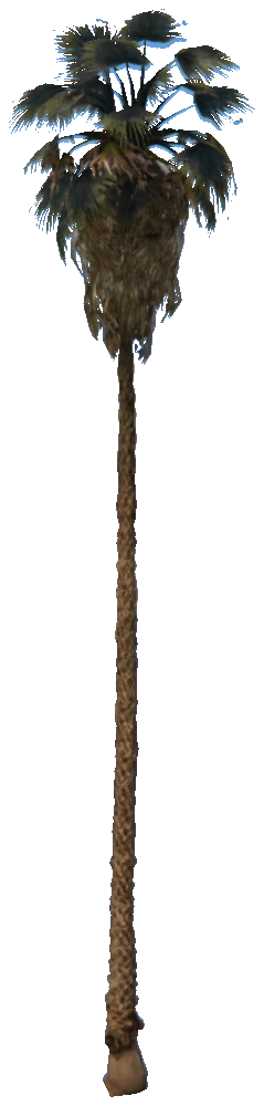 prop_palm_fan_03_d