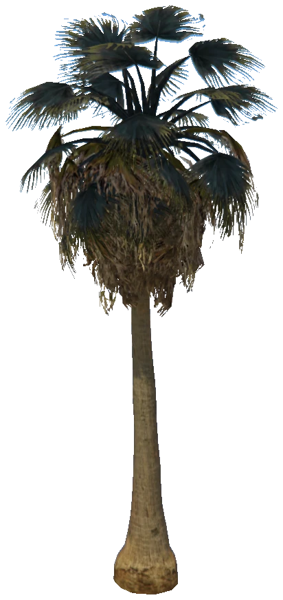 prop_palm_fan_04_b