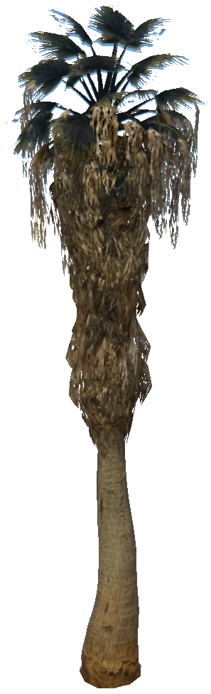 prop_palm_fan_04_c