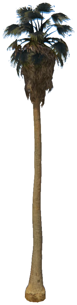 prop_palm_fan_04_d