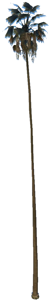 prop_palm_huge_01a