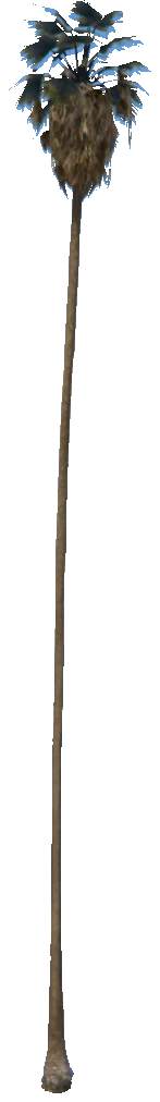 prop_palm_huge_01b