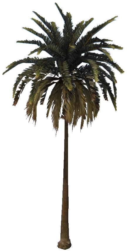 prop_palm_med_01a