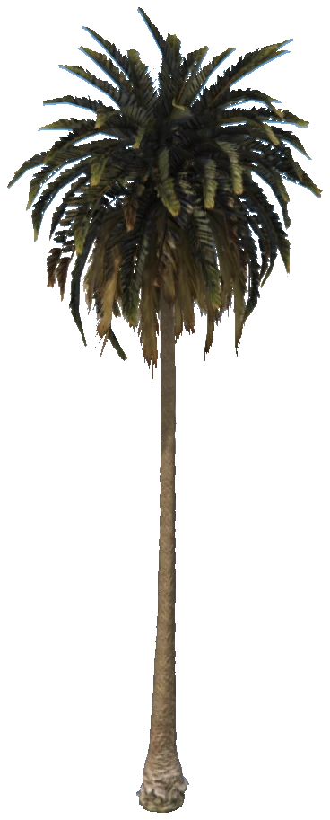 prop_palm_med_01b