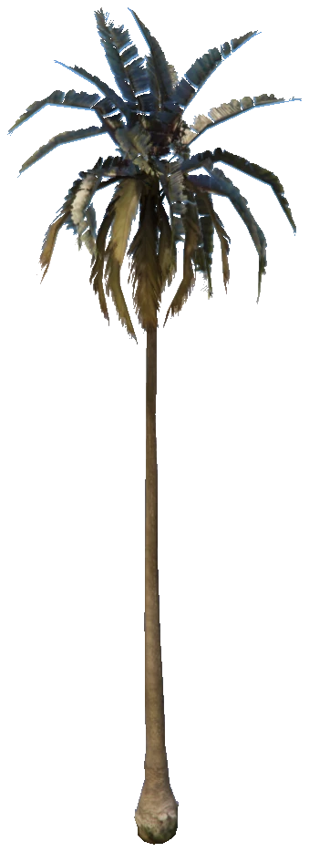 prop_palm_med_01c