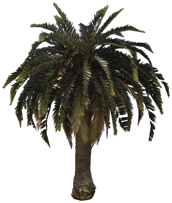 prop_palm_sm_01a