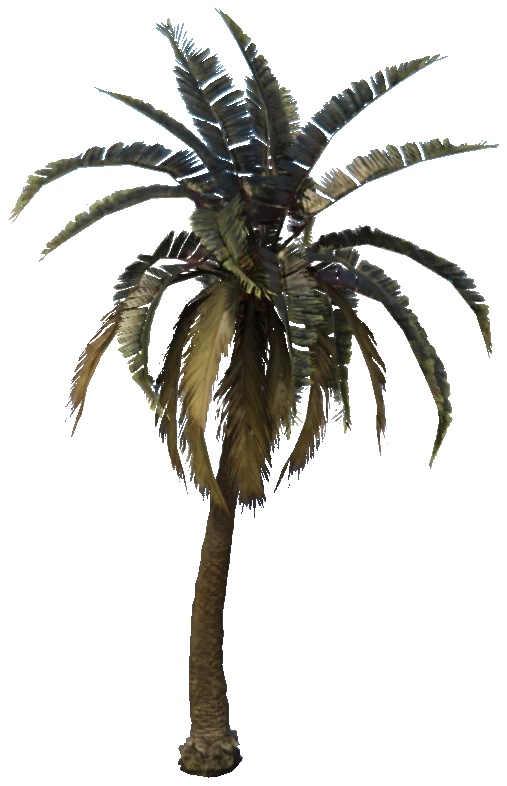 prop_palm_sm_01d