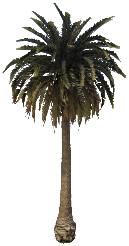 prop_palm_sm_01e