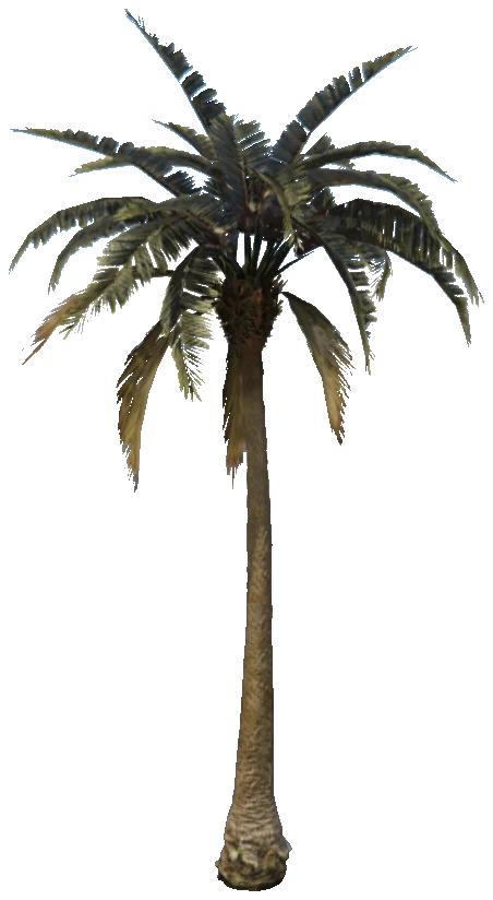prop_palm_sm_01f