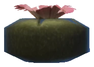 prop_peyote_lowland_01
