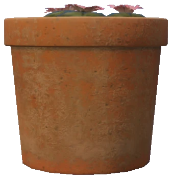 prop_peyote_lowland_02