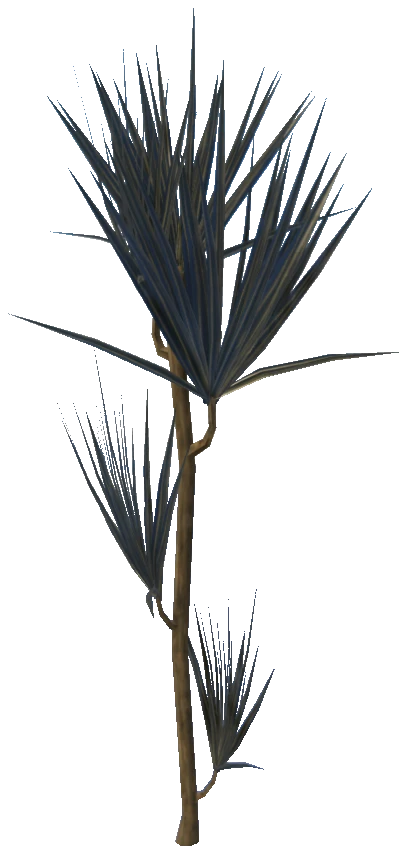 prop_plant_01a