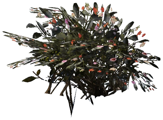 prop_plant_cane_01a