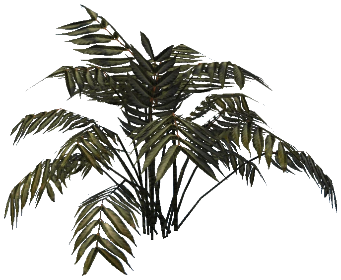 prop_plant_cane_02b