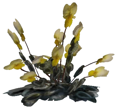 prop_plant_fern_01a