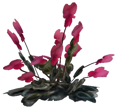 prop_plant_fern_01b
