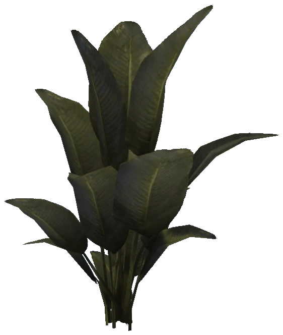 prop_plant_fern_02a