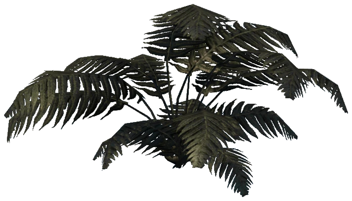 prop_plant_fern_02b
