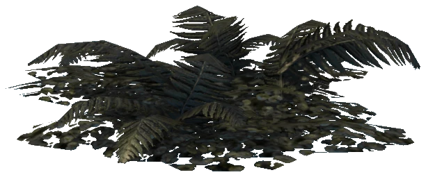 prop_plant_fern_02c