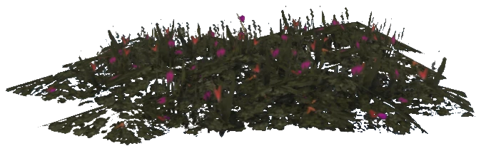 prop_plant_flower_02